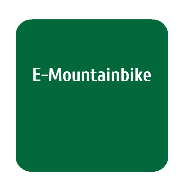 Icon - E-Mountainbike